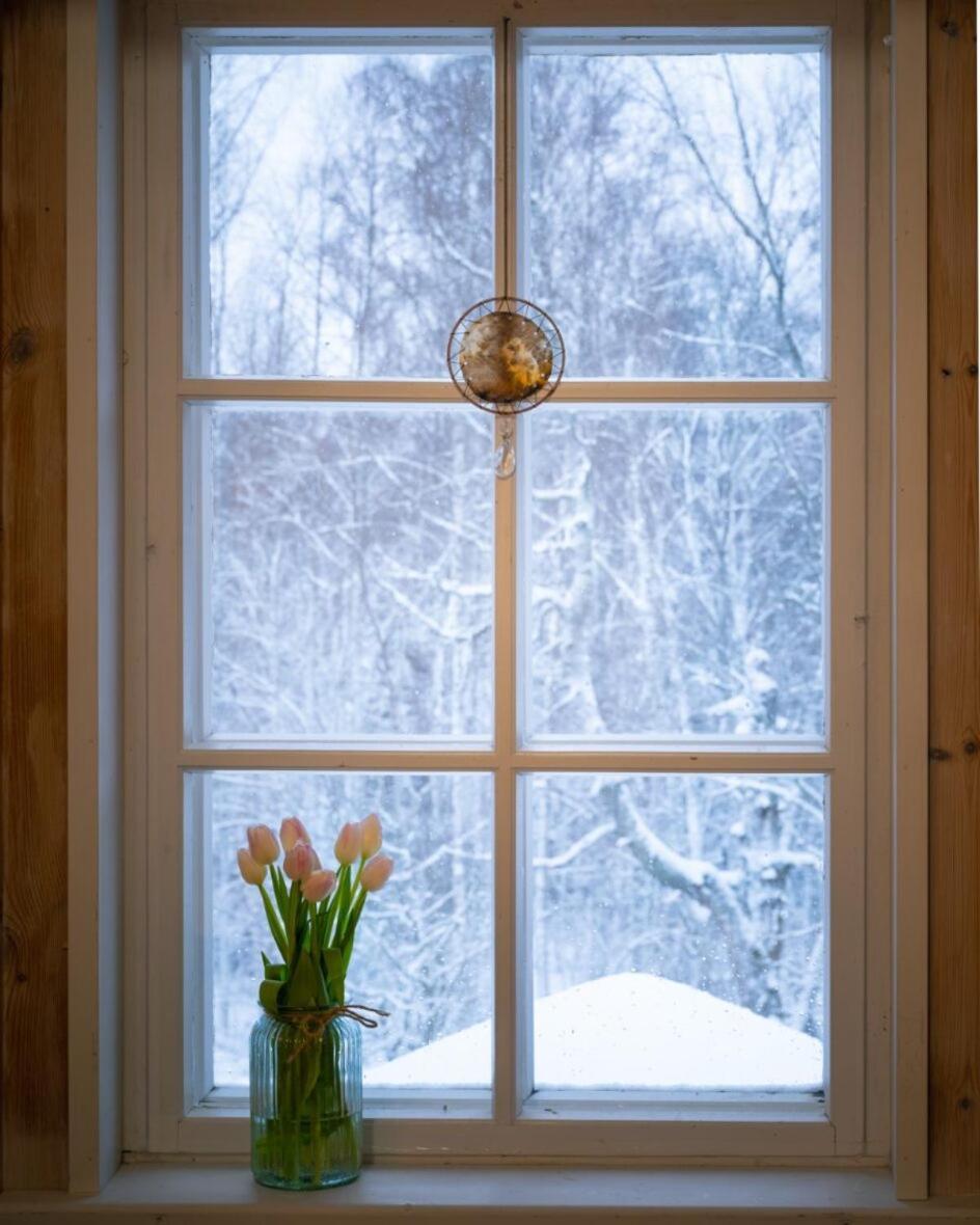 Kolin Mattila B&B コリンカイラ エクステリア 写真