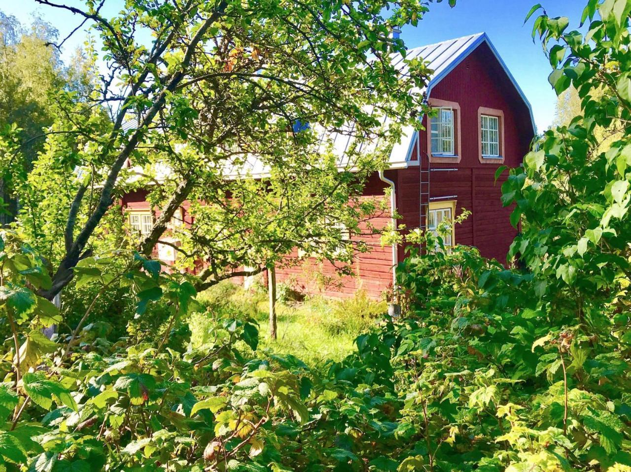 Kolin Mattila B&B コリンカイラ エクステリア 写真